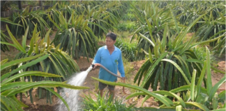 Xâm nhập mặn giảm, mực nước trong vùng Ngọt hóa Gò Công tăng dần