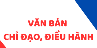 Chủ động ứng phó với gió mạnh, sóng lớn trên biển từ ngày 14-24/8/2025