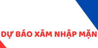 THÔNG BÁO Tình hình mặn khu vực tỉnh Đồng Tháp (Từ 12 giờ ngày 14/02/2026 đến 12 giờ ngày 15/02/2026)