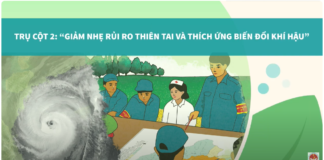 Mô hình cộng đồng an toàn, sạch và xanh – Trụ cột 2: Giảm nhẹ rủi ro thiên tai