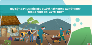 Mô hình cộng đồng an toàn, sạch và xanh – Trụ cột 4: Phục hồi hiệu quả và xây dựng lại tốt hơn