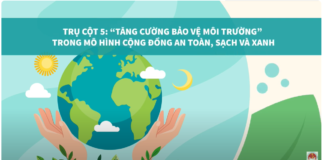 Mô hình cộng đồng an toàn, sạch và xanh – Trụ cột 5: Bảo vệ môi trường