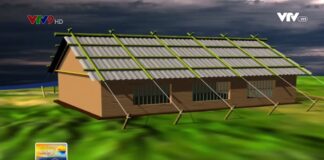 Hướng dẫn cách chằn chống nhà cửa khi có bão
