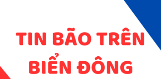 TIN BÃO TRÊN BIỂN ĐÔNG (Cơn bão số 15 – tin phát lúc 08h00 ngày 27-11-2025)