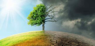 Những ảnh hưởng của biến đổi khí hậu năm 2024