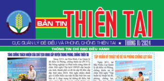 Bản tin thiên tai Tháng 11/2024