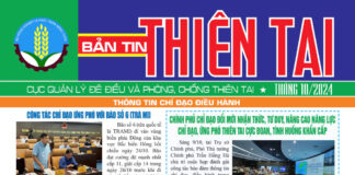 Bản tin thiên tai Tháng 10/2024